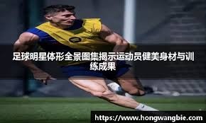 选补充途